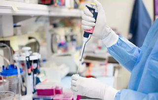 醫(yī)療器械大樓投資招商——邀八方企業(yè)攜手打造500億醫(yī)藥健康產(chǎn)業(yè)集群